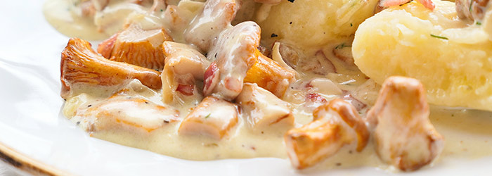 Kluski śląskie z sosem kurkowym