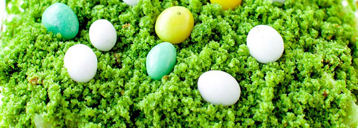 Wielkanocny Leśny Mech