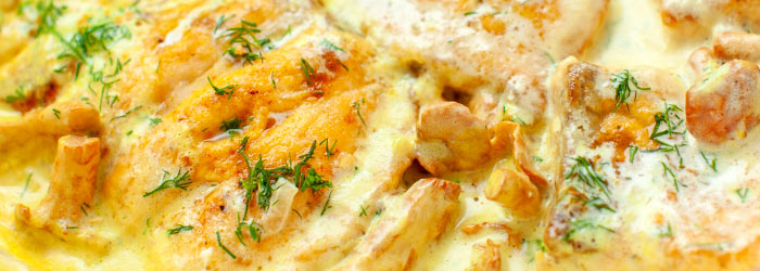 Łosoś w sosie kurkowym